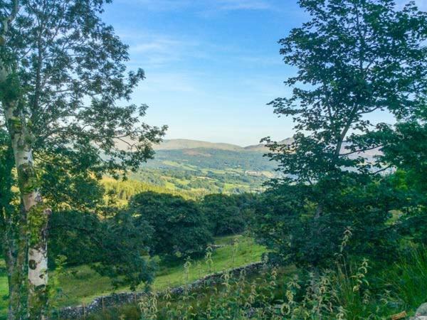 Tyn Llwyn Villa Dolgellau Kültér fotó